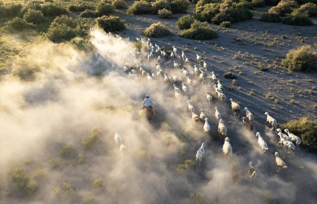 Konyalı besiciler kuraklığa çözüm buldu! Verim düşmeyecek 10